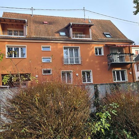 Meubles Du 25 N3 Studio 1Er Etage نيديربرون ليه باينس المظهر الخارجي الصورة